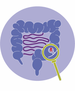 2025_0316_Images_colon+loupe